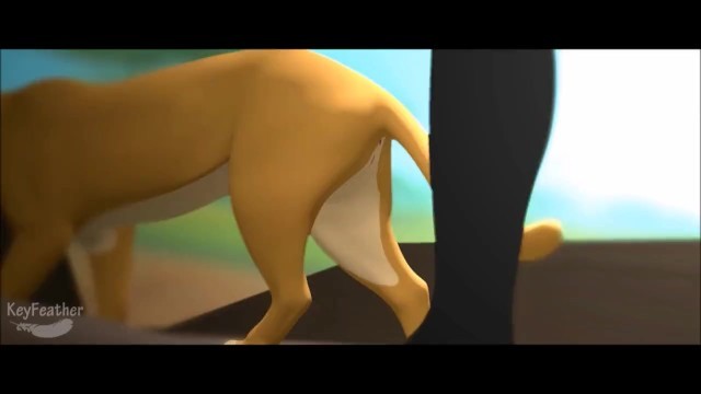 KeyFeather - Feral Animation